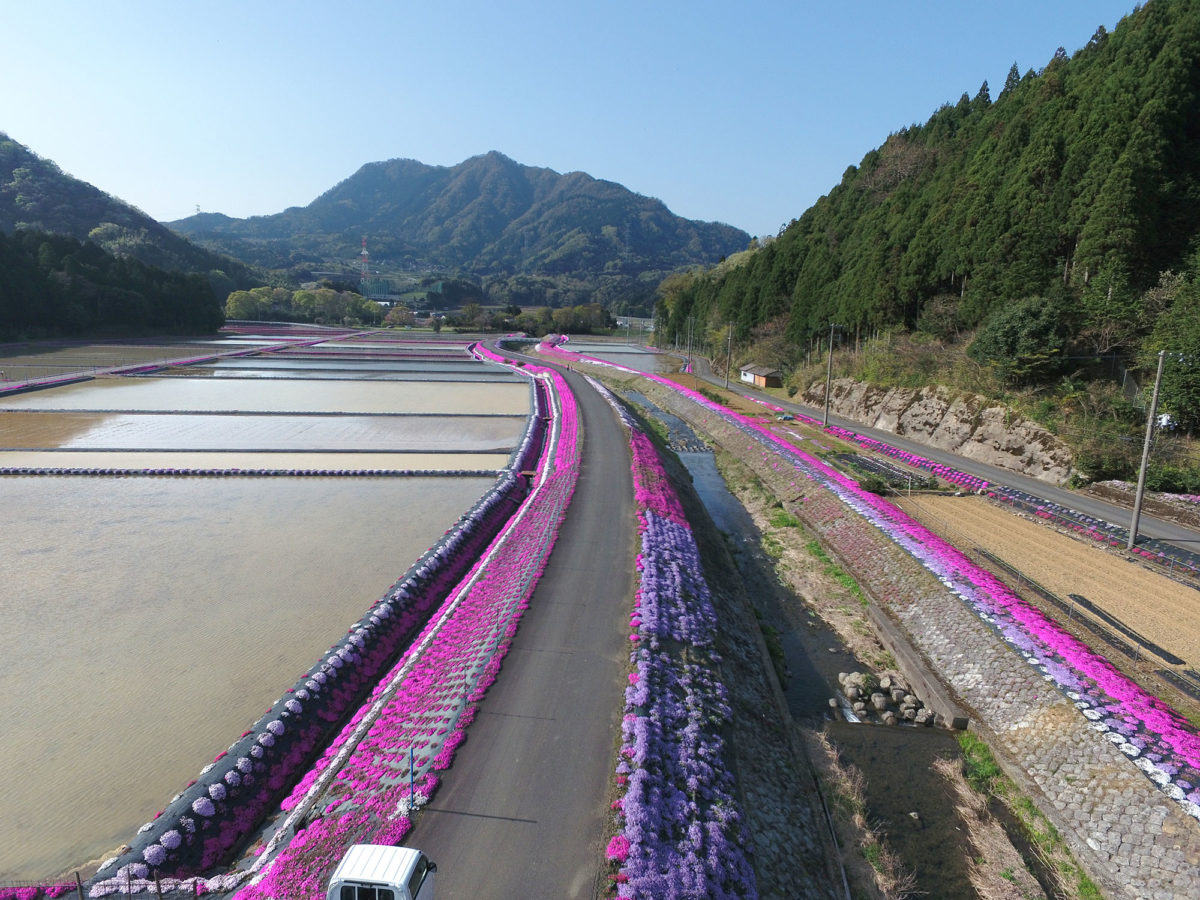 青郷地区