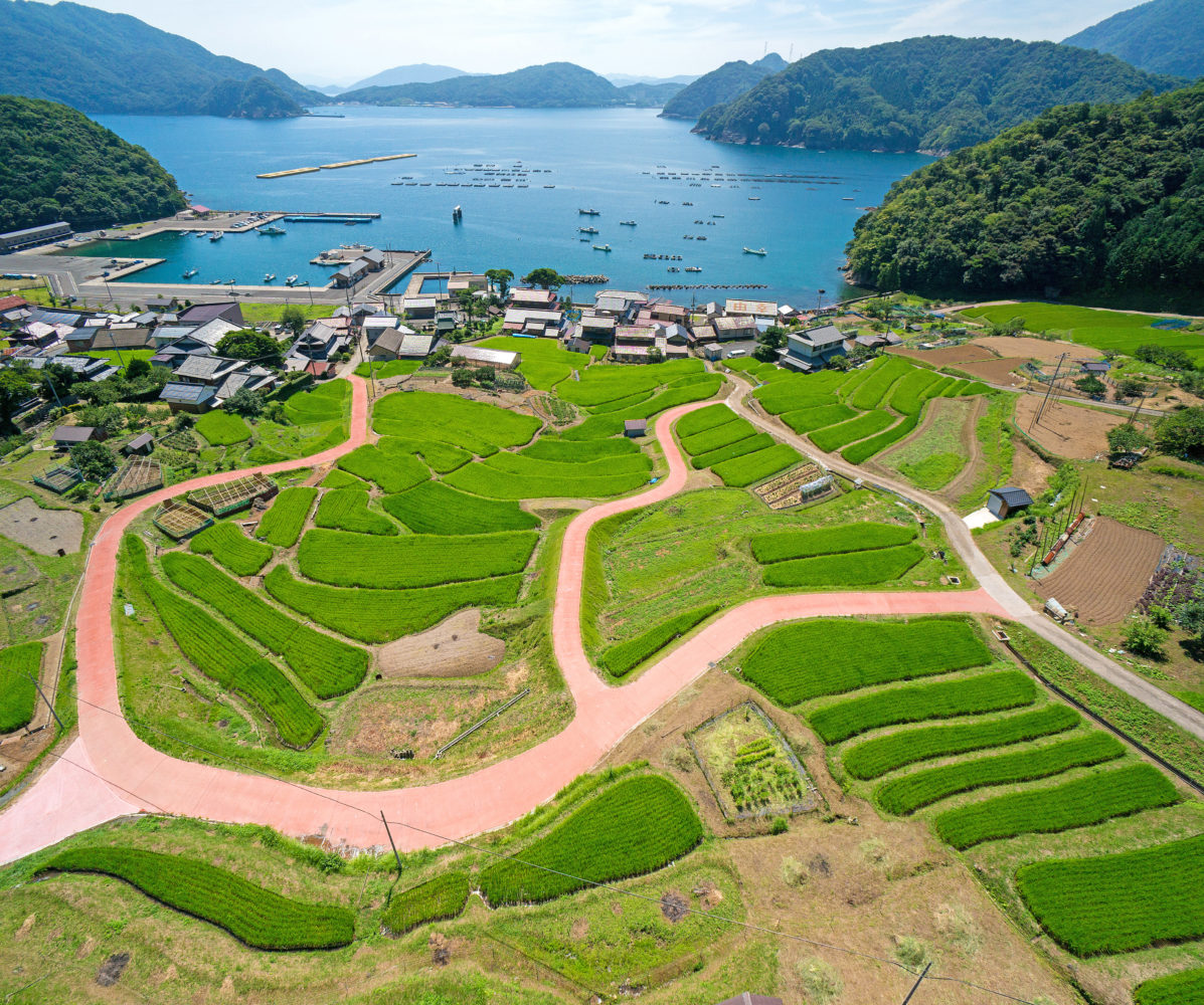 内浦地区
